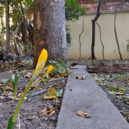 Charming Central Home With Garden Near Parking And Ndk София Экстерьер фото