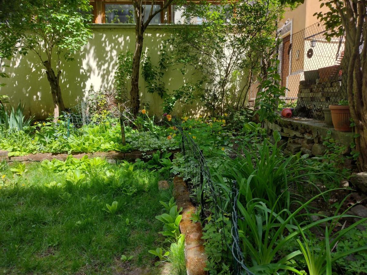 Charming Central Home With Garden Near Parking And Ndk София Экстерьер фото