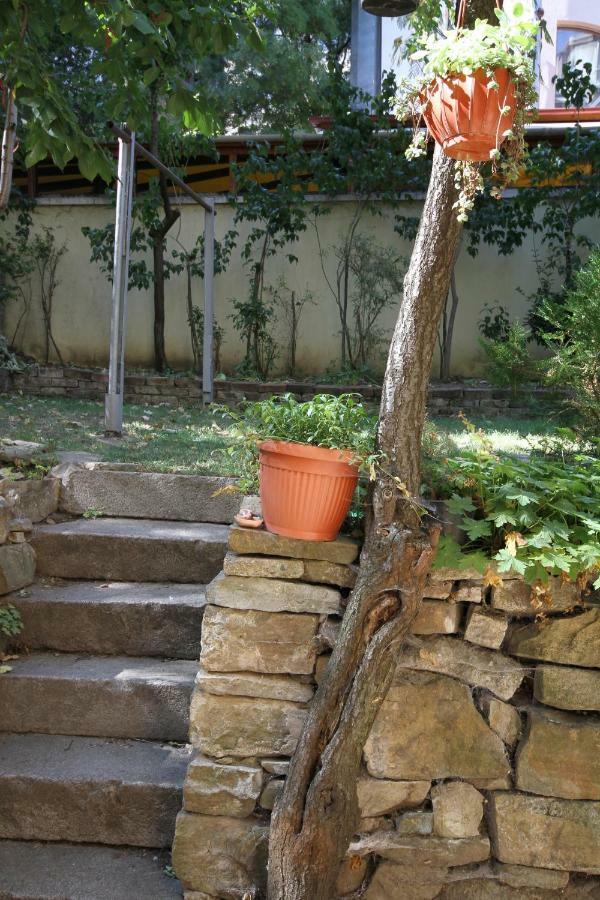 Charming Central Home With Garden Near Parking And Ndk София Экстерьер фото
